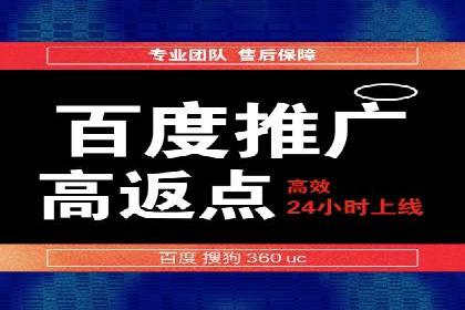 搜索引擎竞价推广：某行业领先企业的成功之路